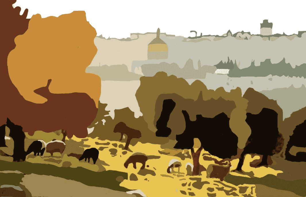 Paysage en palestine